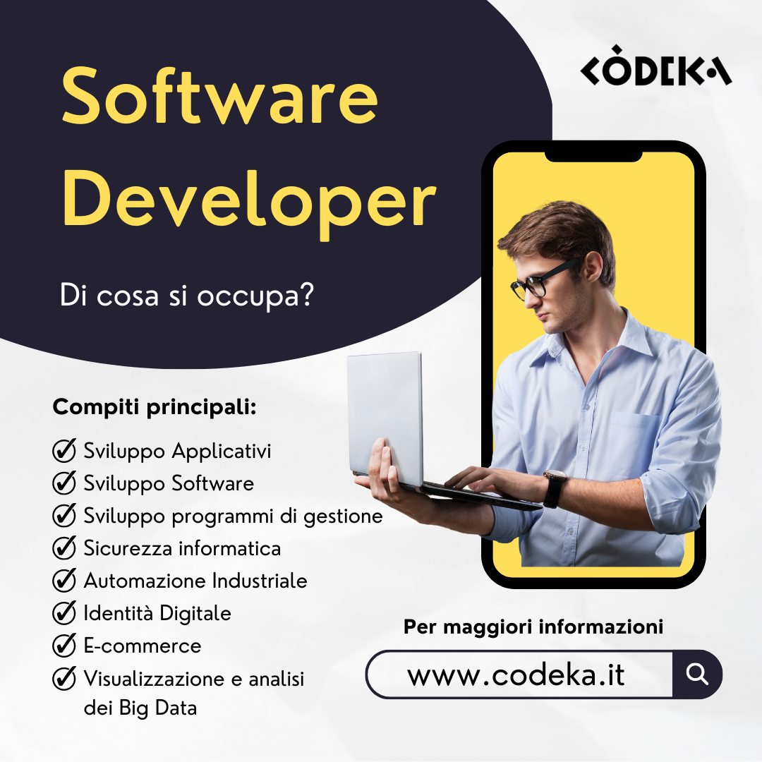 Software Developer